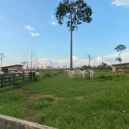 COMPRA E VENDAS/PONTA DO ABUNÃ