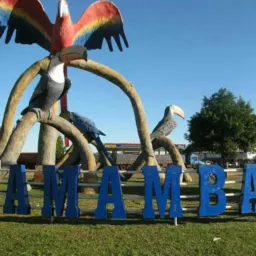 MS-AMAMBAI,