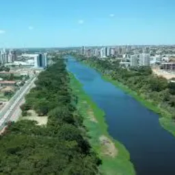 Teresina divulgar