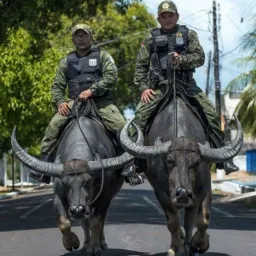 GUARDIÕES DE ALMAS 🦟📞👽🌏🌍🌎🧌🌐🪩🪩👁️💗🥥💗🥥👯👯‍♂️🧌🧌🌌🌌🦉🐌🪳🪳🦗🦓🦛🦘🐎🐐🐂🐃🐂🦣🦍🦛🐘