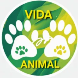 Vida Animal 🐾🐾