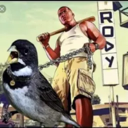 Passarinheiros amar é preservar 🦅
