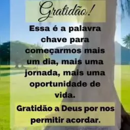 Grupo de amizades bela vista de Goiás