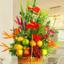 Plantas&FloresSTA BÁRBARA