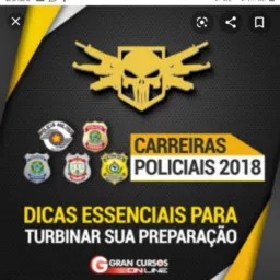 CARREIRA POLICIAL 2024
