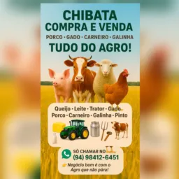 Vendas de porcos, galinhas ,gado ,carneiros etc