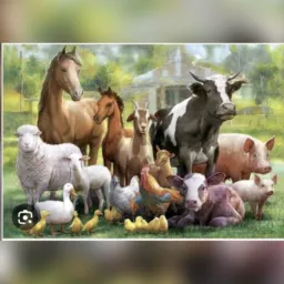 Brik de animais 🐴🐄🌾