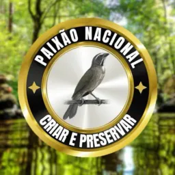 ROLOS DE AVES, BAIXADA/ZONA OESTE E TODO RIO🐧