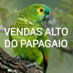 VENDAS  Bairro Alto do 🦜