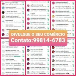 📢 SETOR O 📢