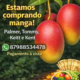 Compra e venda 🥭🍇🍈🌽