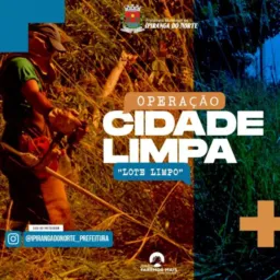 NP vendas trabalhos e limpezas de lotes