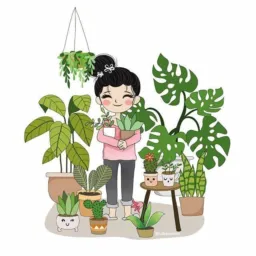 🪴🌱🌸☘️ plantas 🌷🌸🌹🌼🌻