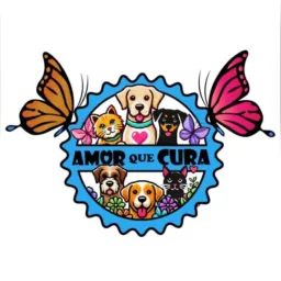 Amor que cura 🦋🐶🐈⬛ diretoria e voluntários