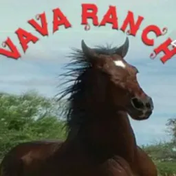 RIFA VAVÁ RANCH