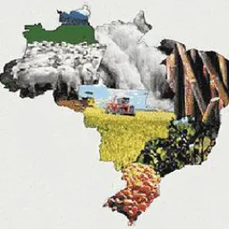 Agronegócios Brasil