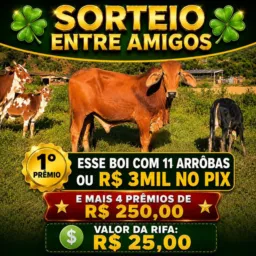 🍀 SORTEIO ENTRE AMIGOS 🍀