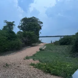 Somente Imóveis e Aluguel