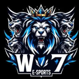 RECRUTAMENTO W7-E SPORTS 🤍🩵