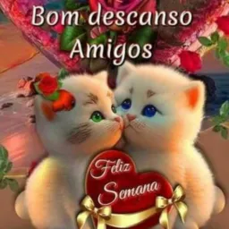 NOVAS AMIZADE