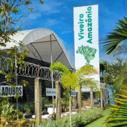 GRUPO VIP SORTEIOS E LANÇAMENTOS PORTO-VELHO 🌱