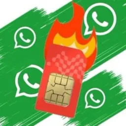 Maturador de chip
