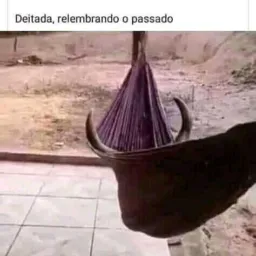 Os tranbiquero