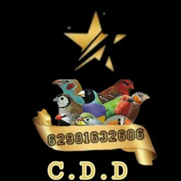 SÓ CRIADOR ELITE