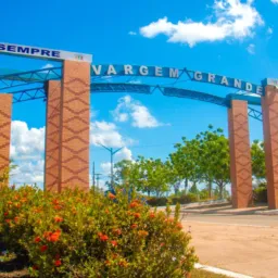Melhores Vendas De Vg