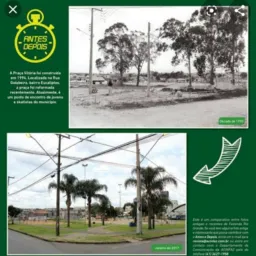 🌳📬Bairro Eucaliptos 🍃🏡🏘️