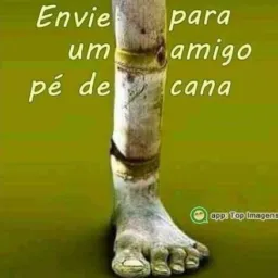 OS CACHAÇEIROS BM🥃🍾