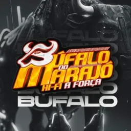 BÚFALO DO MARAJÓ 🦬