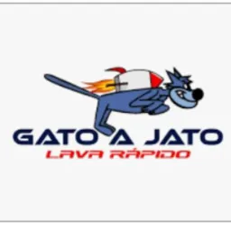 Gato ajato
