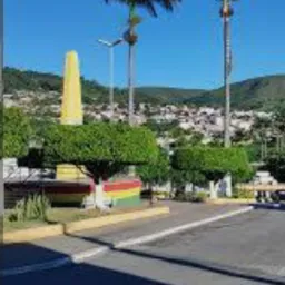 Bonconelho de olho na notícia.