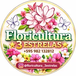 🌻Floricultura 3 Estrelas✨