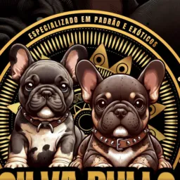 Só Bulldog francês