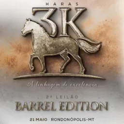 2° LEILÃO HARAS 3K SALA 1