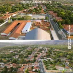 AMIGOS DE RIBEIRO GONÇALVES PI