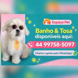 Espaço pet lago leste