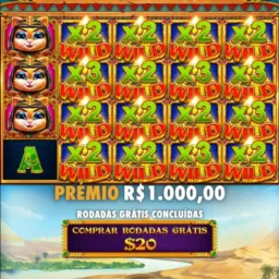 Cooperação