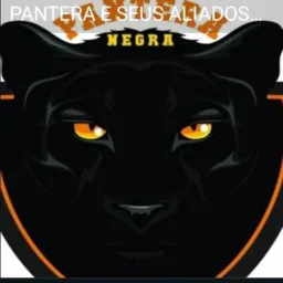 PANTERA E SEUS ALIADOS 🤩