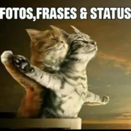 Fotos,Frases & Status 😌😍