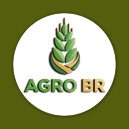 🇧🇷🌱Brasil Vendas em geral 📈