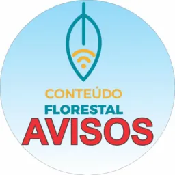 Conteúdo Florestal: Avisos, informações e conteúdos