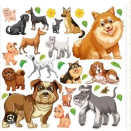 Grupo Patrulha Canina de Marabá e Região 🐶🐕🐕‍🦺