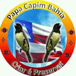 Grupo de premiação AVES DA SORTE 🍀🪽