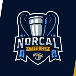 ID E SENHA COPA INCAS