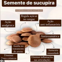 Óleos:mata viva;100 %puros,da melhor forma de extração e da melhor espécie...