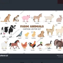 Rifas e trocas e vendas de animais e aves 🐥🐖🐎🐄🐩🐓🦚