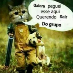 🇧🇷VÍDEOS ENGRAÇADOS MÚSICAS🎼🎧🎻🎸